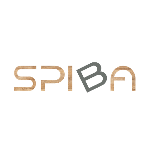 Spiba-Nord - Logoerstellung - neue Website